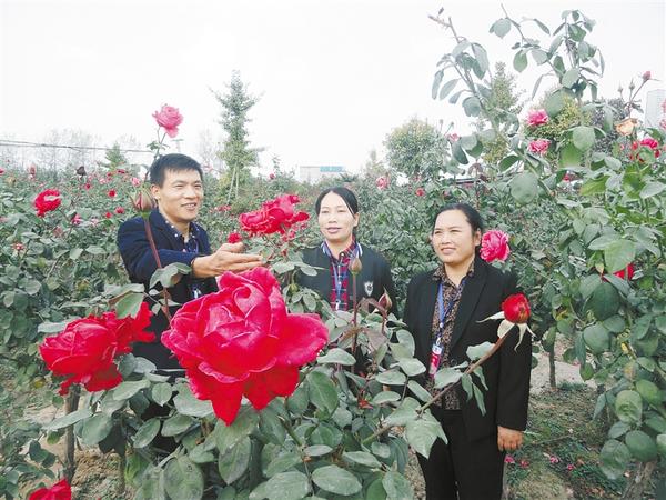 120畝花卉園引來人大代表視察