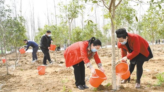 義務植樹 添綠周口