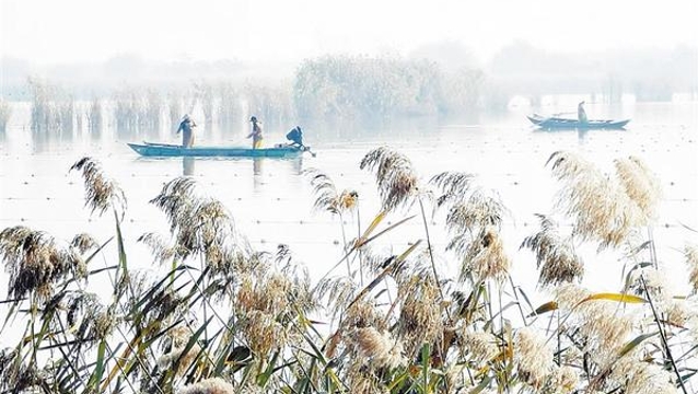 龍湖冬景入畫中